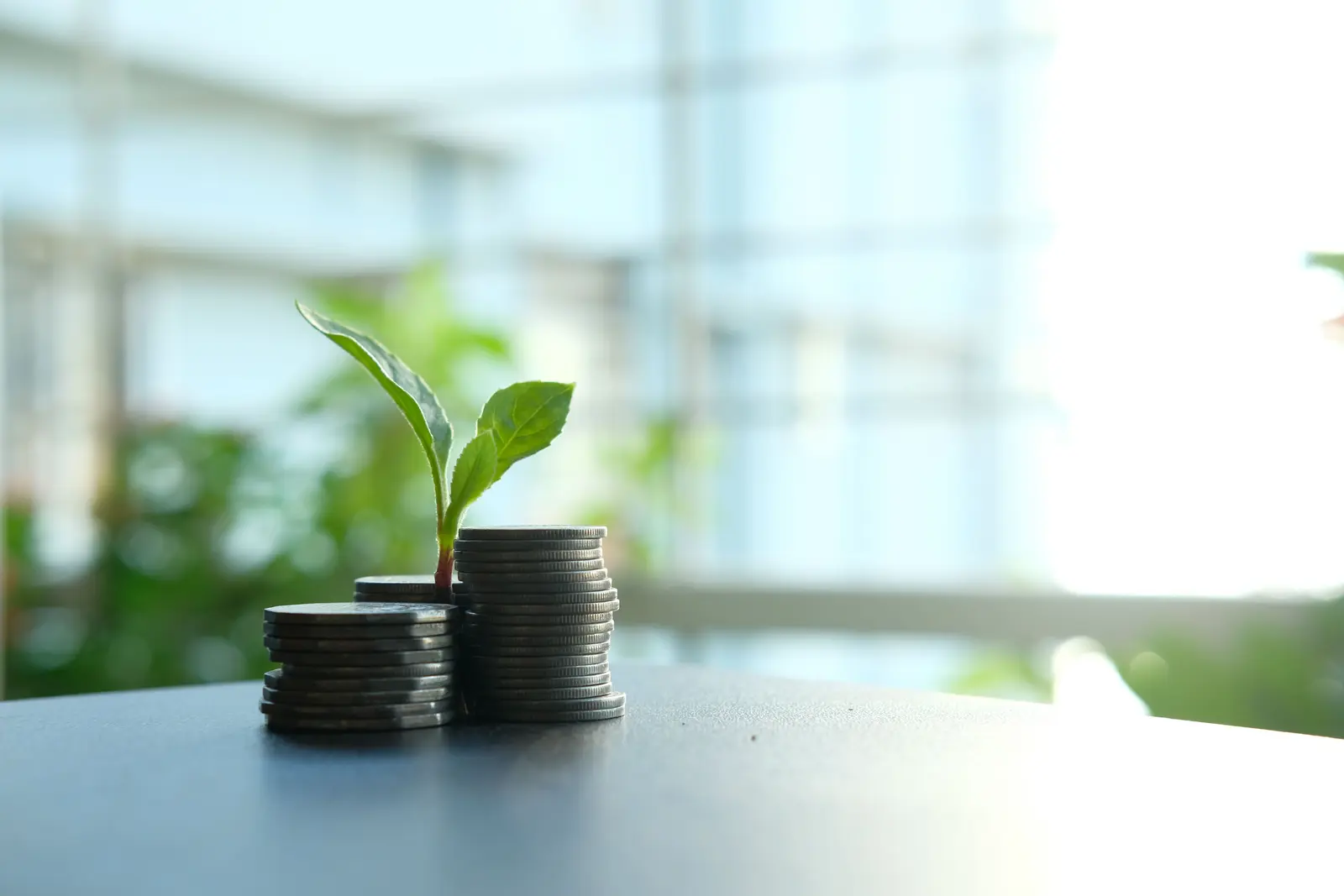 A seedling growing from a stack of coins on a table by a window